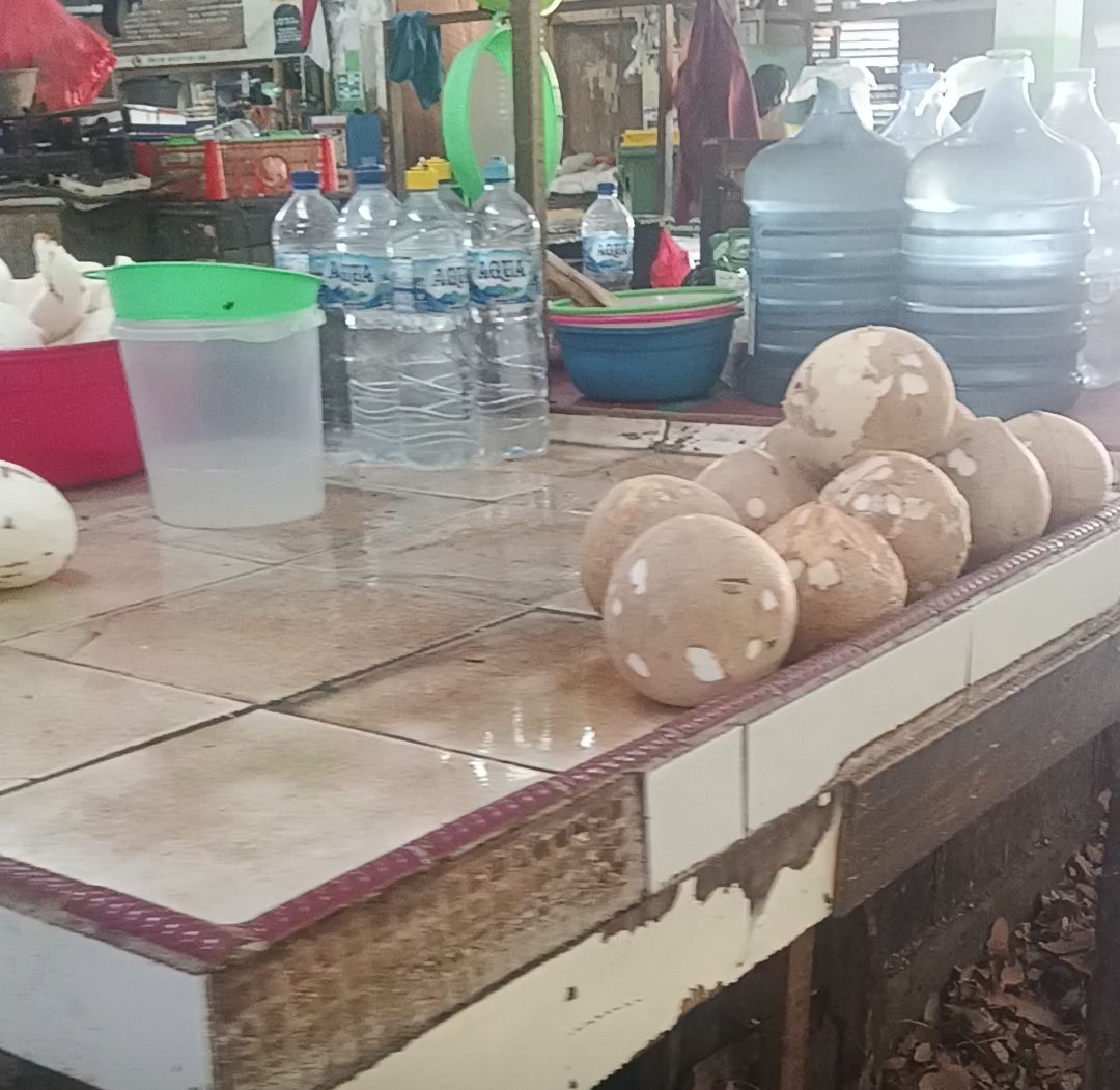 Pedagang Pasar Sunter Menunggu jawaban Pemprov DKI Jakarta Terkait Penolakan  REVITALISASI, Petisi di nilai beresiko Memperkeruh suasana